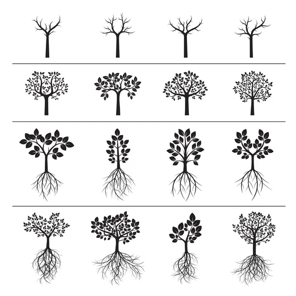 Ställ in svart träd och blad. Vektorillustration. — Stock vektor