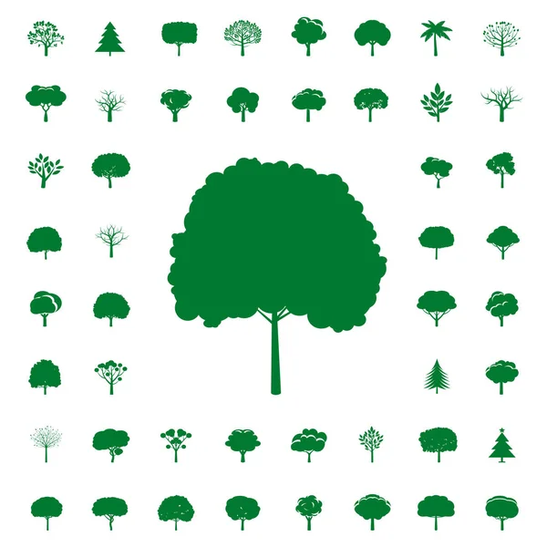 Collection of Green Trees. Vector icons. — Stock Vector