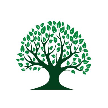 Yeşil ağaç vektör. Vektör çizim. Park ve doğa.