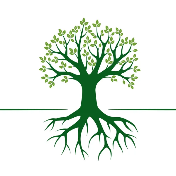 Albero vettoriale verde e radici. Illustrazione vettoriale . — Vettoriale Stock