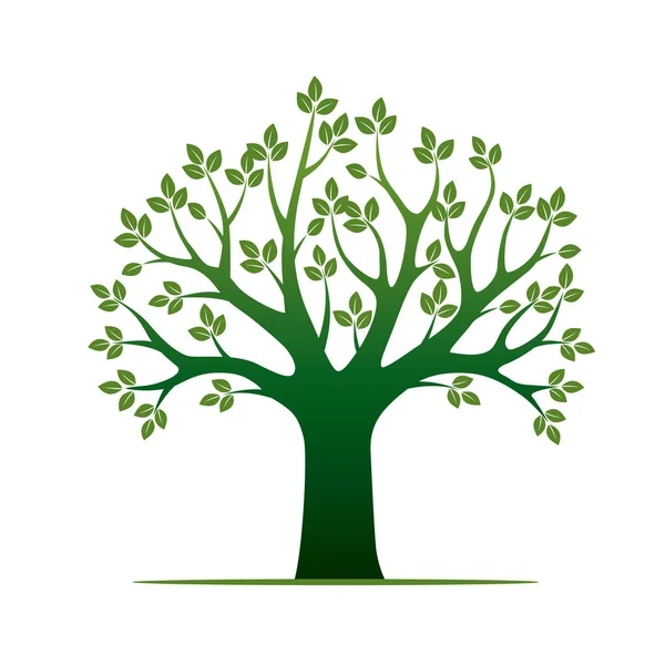 Grüne Vektorbaum und Blätter. Vektorillustration. — Stockvektor