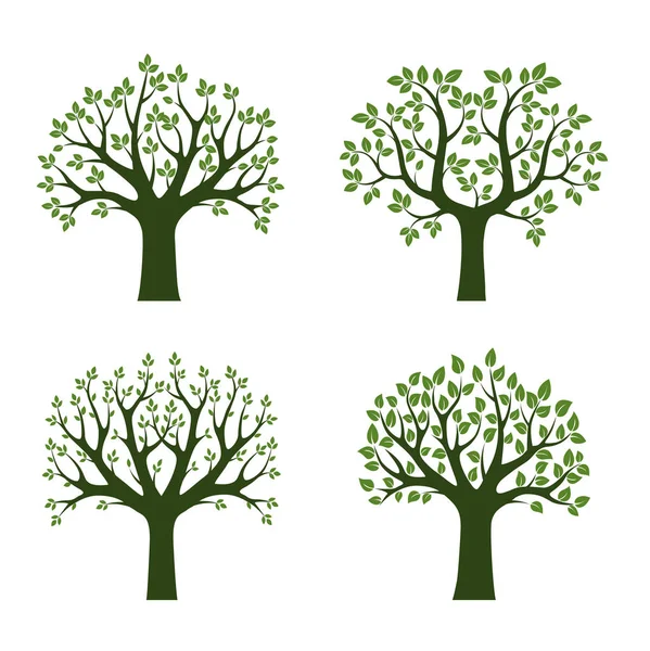 Σύνολο από καταπράσινα δέντρα. Vector εικονογράφηση. — Διανυσματικό Αρχείο