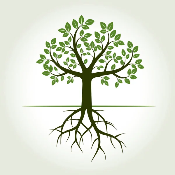 Suchy Strom S Root Vector Art Stock Images ページ 2 Depositphotos