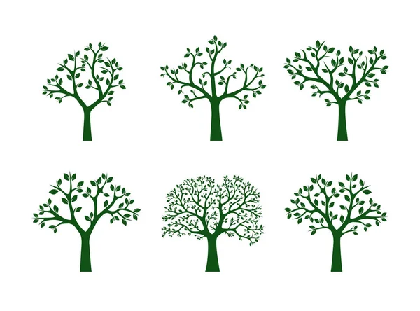 Collection d'arbres verts. Illustration vectorielle . — Image vectorielle