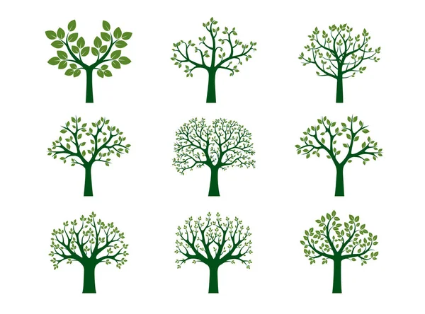 Collectie van groene bomen. Vectorillustratie. — Stockvector