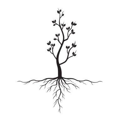 Siyah ağaç kökleri ile. Vektör çizim.