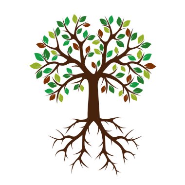 Renk Ağaç kökleri ile. Vektör çizim.