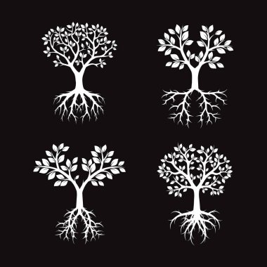 Beyaz ağaçlar kökleri ile topluluğu. Vektör çizim.
