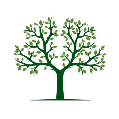 Yeşil ağaç yapraklar. Vektör çizim.