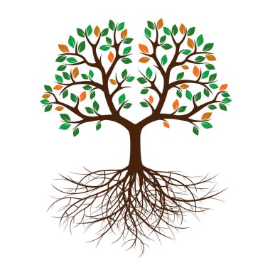 Renk ağaç ve kökleri. Vektör çizim.
