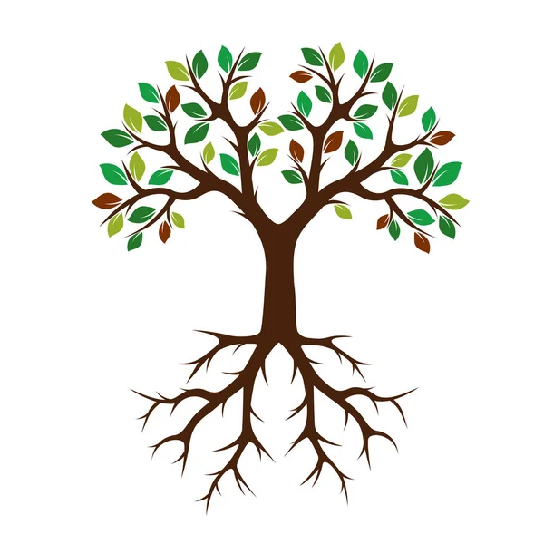 Árbol de color con raíces. Ilustración vectorial . — Vector de stock