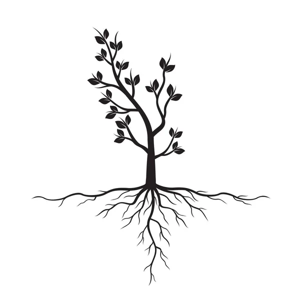 Árvore Negra com Raízes. Ilustração vetorial . —  Vetores de Stock