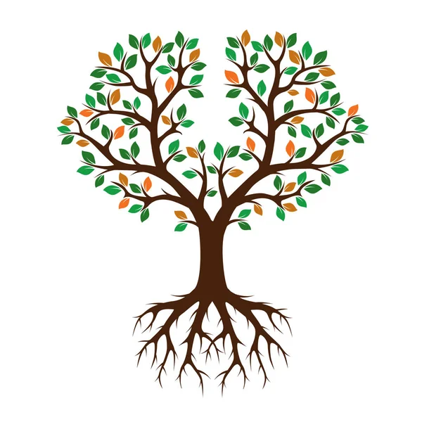 Färg träd och löv. Vektor Illustration. — Stock vektor
