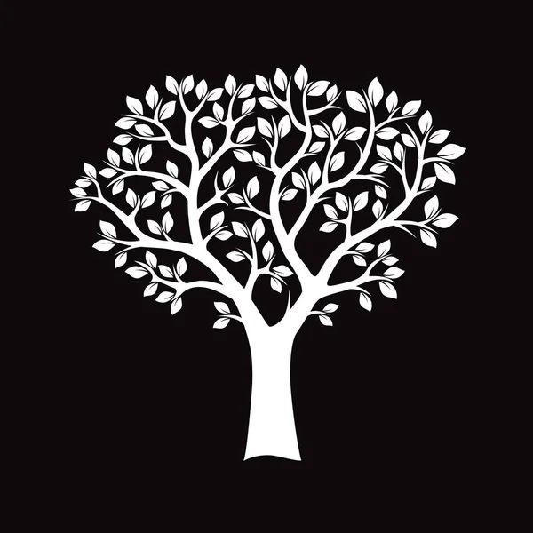 Árbol blanco y raíces. Ilustración vectorial . — Vector de stock