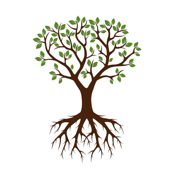 Цветное дерево и корни. Векторная миграция
.