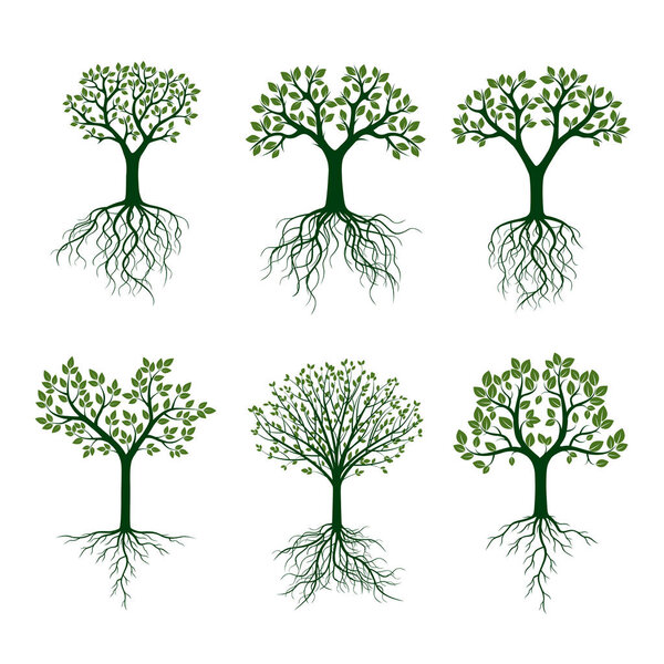 Green Trees with Roots. Vector Illustration.