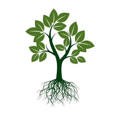 Yeşil ağaç kökleri ile. Vektör çizim.