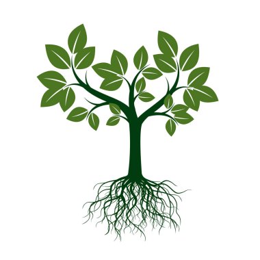 Yeşil ağaç kökleri ile. Vektör çizim.