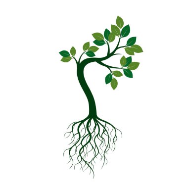 Yeşil ağaç kökleri ile. Vektör çizim.