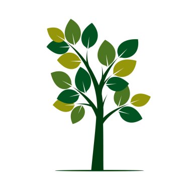 Yeşil ağaç. Vektör çizim.