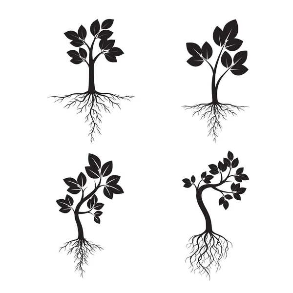 Imposta alberi neri con radici. Illustrazione vettoriale . — Vettoriale Stock
