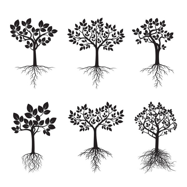 Чёрные деревья с корнями. Векторная миграция
.