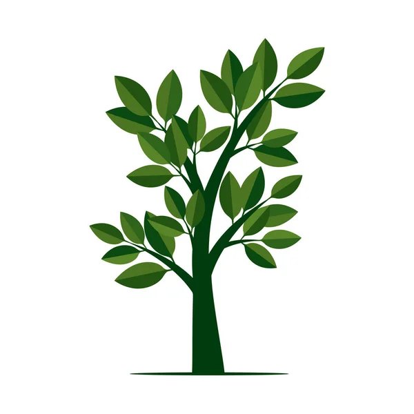 Groene boom. Vectorillustratie. — Stockvector