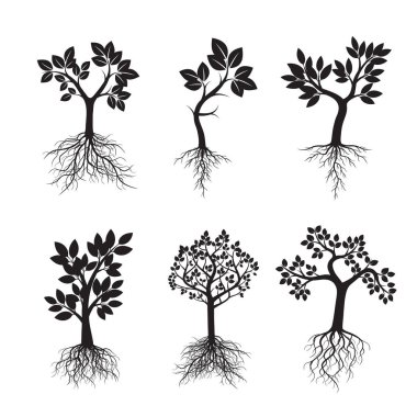 Siyah ağaçlar kökleri ile ayarlayın. Vektör çizim.