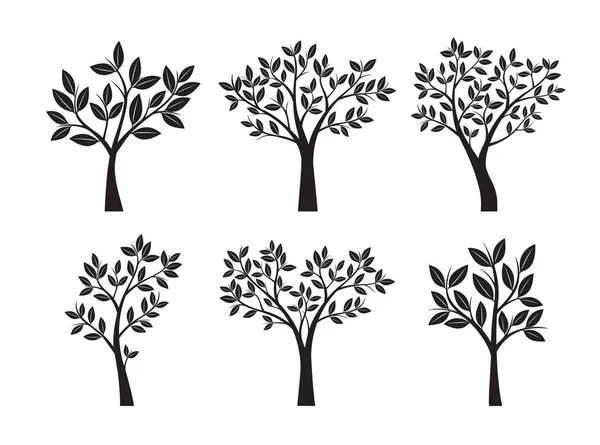 Ensemble d'arbres noirs et de feuilles. Illustration vectorielle . — Image vectorielle