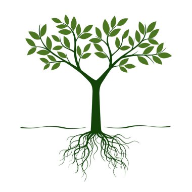 Yeşil ağaç ve kökleri. Vektör çizim.