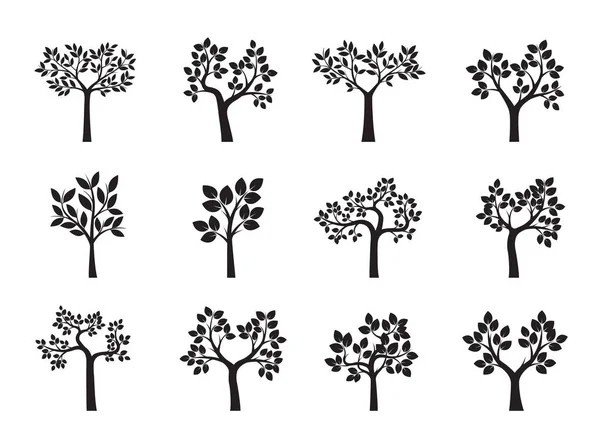 Ağaçlar ve yapraklar siyah kümesi. Vektör çizim.