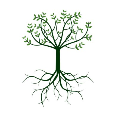 Yeşil ağaç ve kökleri. Vektör çizim.