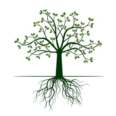 Yeşil ağaç kökleri ile. Vektör çizim.