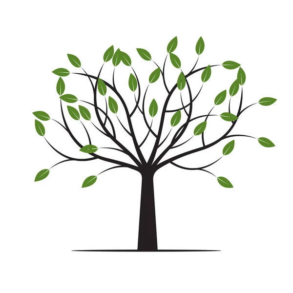 Zelený strom s listím. Vektorové ilustrace. — Stockový vektor