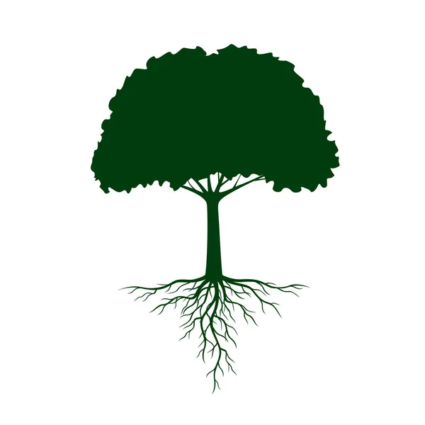 Árvore Verde com Raízes. Ilustração vetorial . —  Vetores de Stock