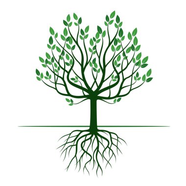 Yeşil ağaç kökleri ile. Vektör çizim.