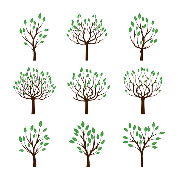 Set kleur bomen met groene bladeren. Vectorillustratie. — Stockvector