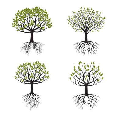 Yeşil ağaç kökleri ile ayarlayın. Vektör çizim.