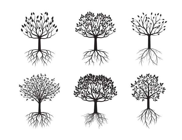 Imposta alberi neri con radici . — Vettoriale Stock