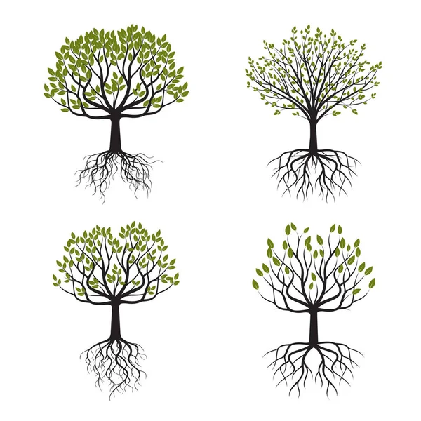 Set Green Tree with Roots. Vector Illustration. — Stock Vector