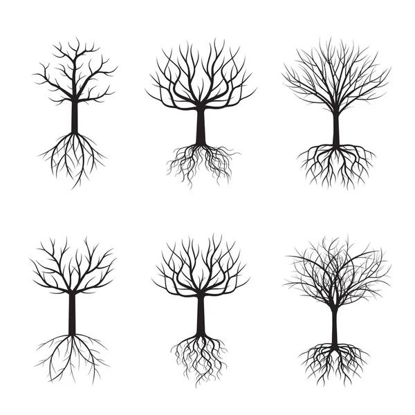 Set Black Trees without Leafs. Vector Illustration. — Stock Vector