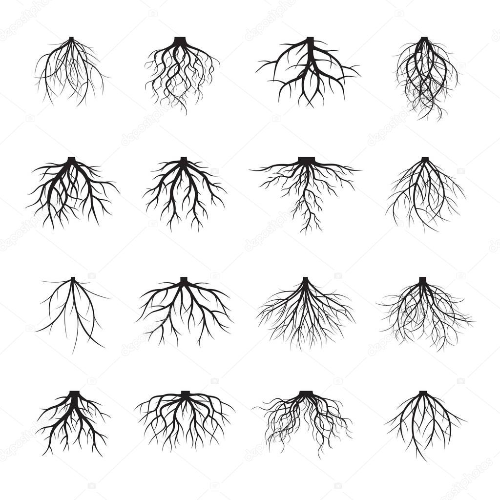 Big Set of Black Roots. Vector Illustration.