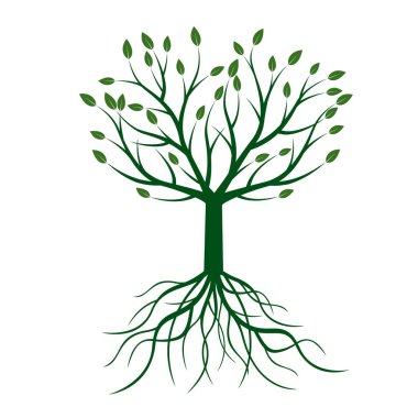 Yeşil ağaç yapraklar. Vektör çizim.