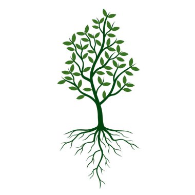 Yeşil ağaç yapraklar ve kökleri. Vektör çizim.