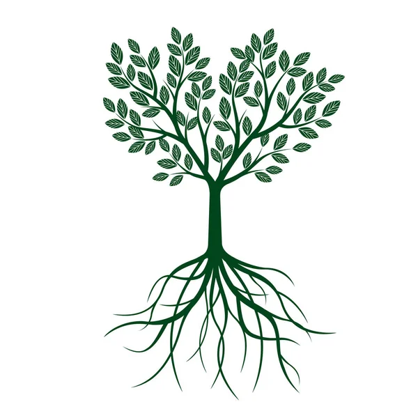 Groene boom met bladeren en wortels. Vectorillustratie. — Stockvector