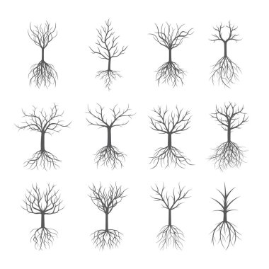 Set gri ağaçlar olmadan yapraklar. Vektör çizim.