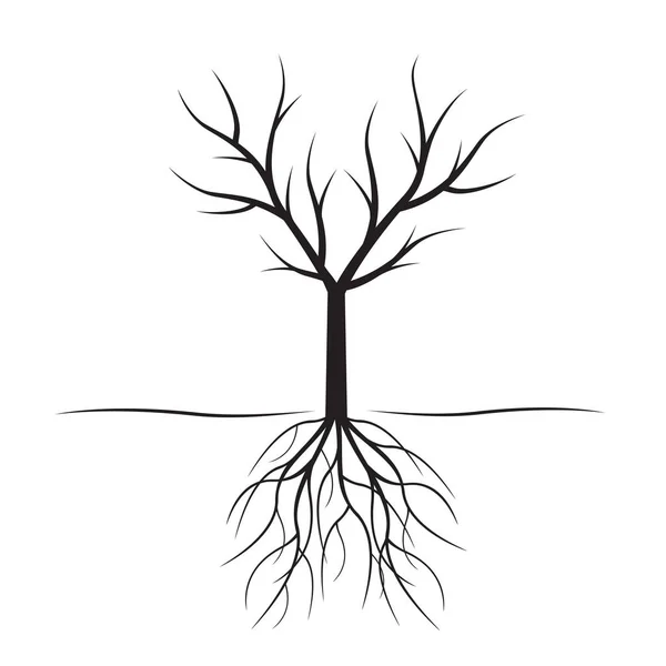 Árbol negro con raíces. Ilustración vectorial . — Vector de stock