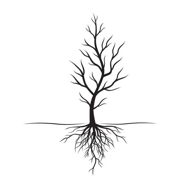 Árbol negro con raíces. Ilustración vectorial . — Archivo Imágenes Vectoriales