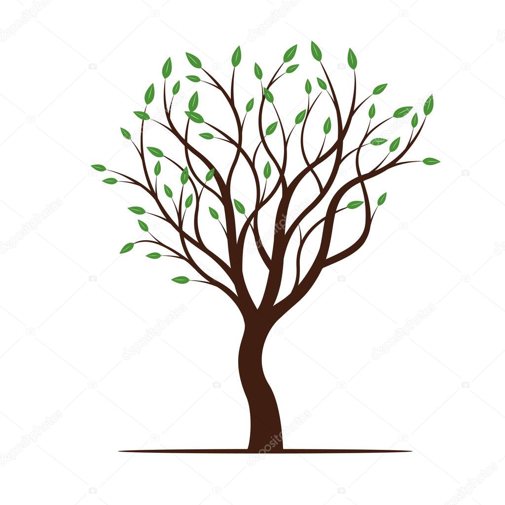 Spring Tree with Green Leafs. Vector Illustration.