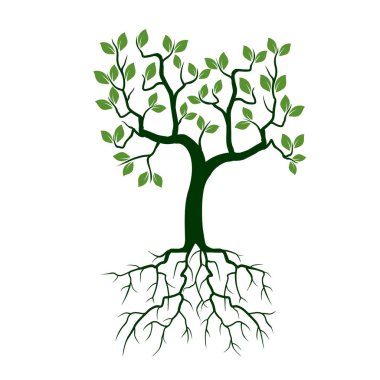 Yeşil ağaç kökleri ile. Vektör çizim.